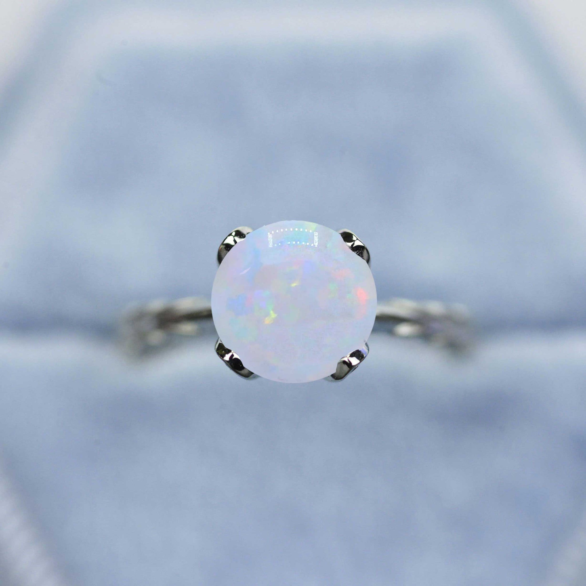 clio-https://clio.giliarto.com/ring/1/mila clio-https://clio.giliarto.com/ring/1/mila