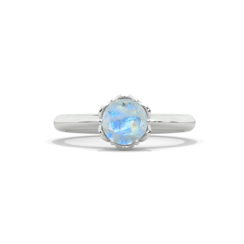 clio-https://clio.giliarto.com/ring/1/613
 clio-https://clio.giliarto.com/ring/1/613