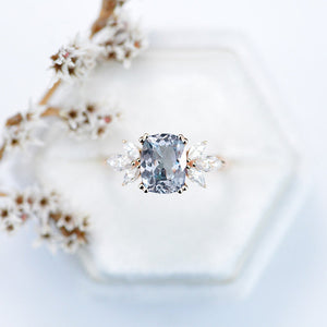 clio-https://clio.giliarto.com/ring/1/511