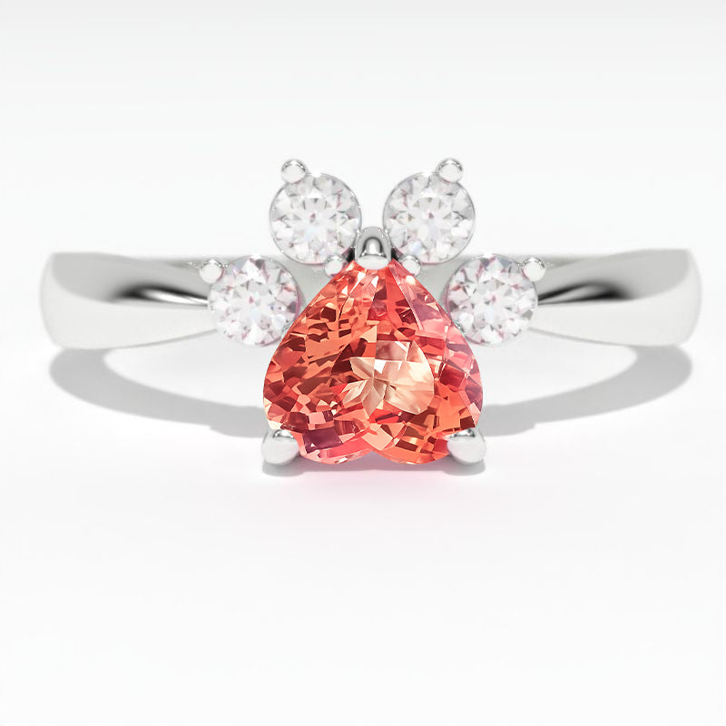 clio-https://clio.giliarto.com/ring/1/134
