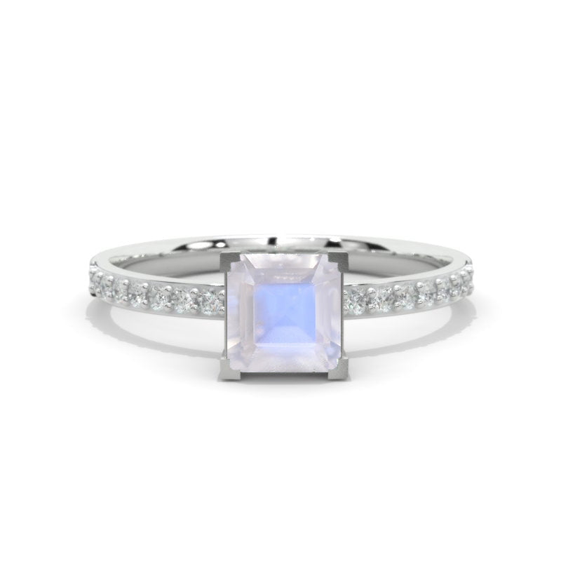 Clio-https://clio.giliarto.com/ring/1/1170
