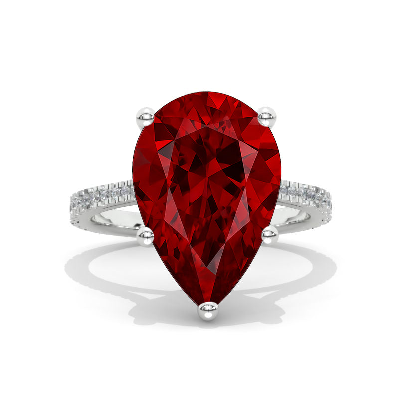 clio-https://clio.giliarto.com/ring/1/579
