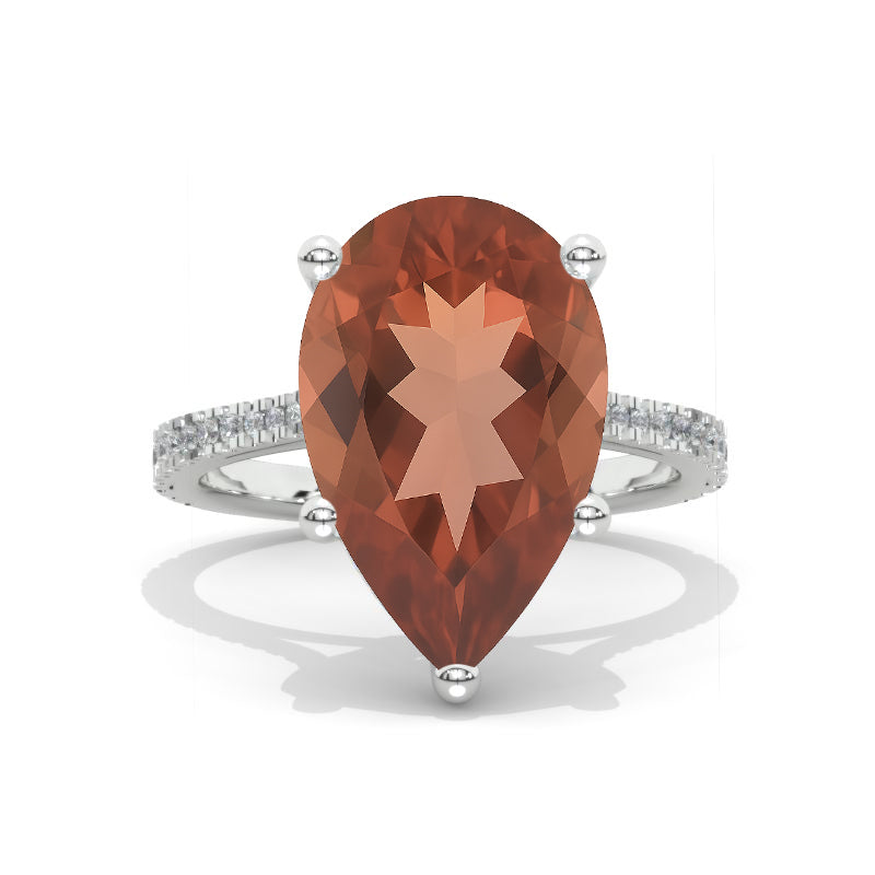 clio-https://clio.giliarto.com/ring/1/579
