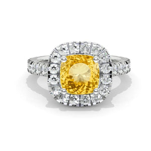 clio-https://clio.giliarto.com/ring/1/486
