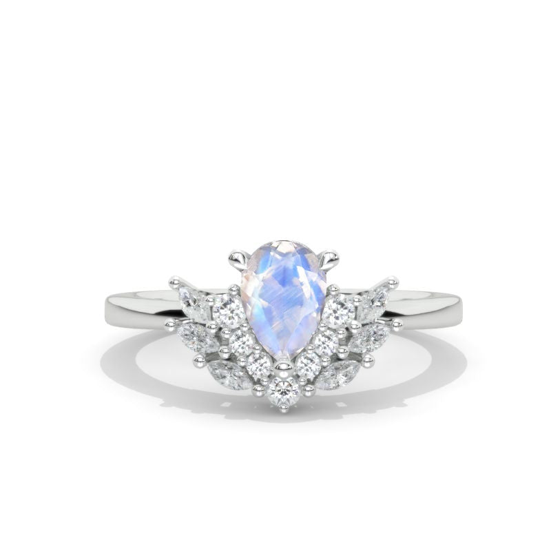 clio-https://clio.giliarto.com/ring/1/592
