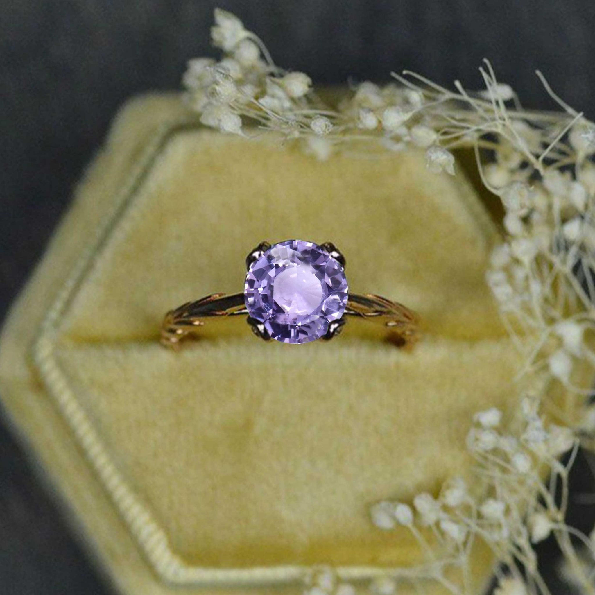 clio-https://clio.giliarto.com/ring/1/mila