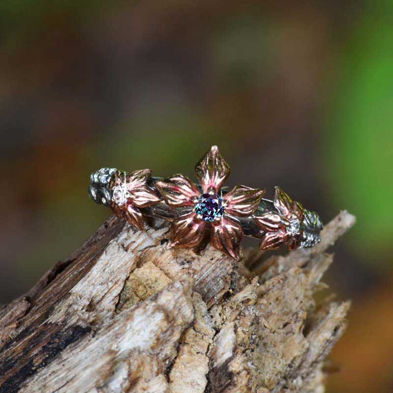 clio-https://clio.giliarto.com/ring/1/3fr