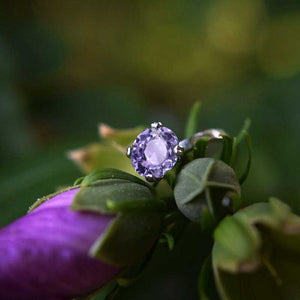 clio-https://clio.giliarto.com/ring/1/asr