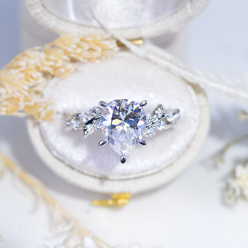 clio-https://clio.giliarto.com/ring/1/446