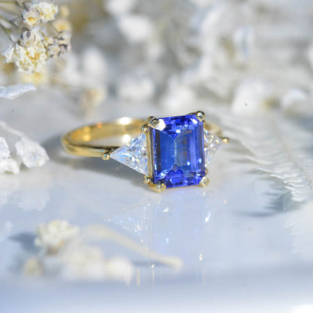 clio-https://clio.giliarto.com/ring/1/501

