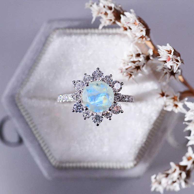 clio-https://clio.giliarto.com/ring/1/701-8