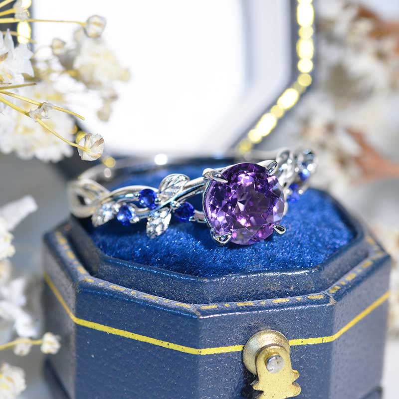 clio-https://clio.giliarto.com/ring/1/446
