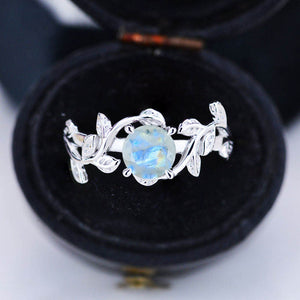 clio-https://clio.giliarto.com/ring/1/774-6