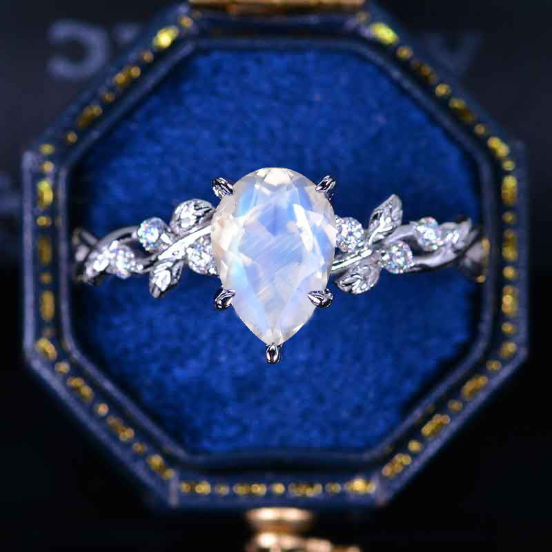 clio-https://clio.giliarto.com/ring/1/446