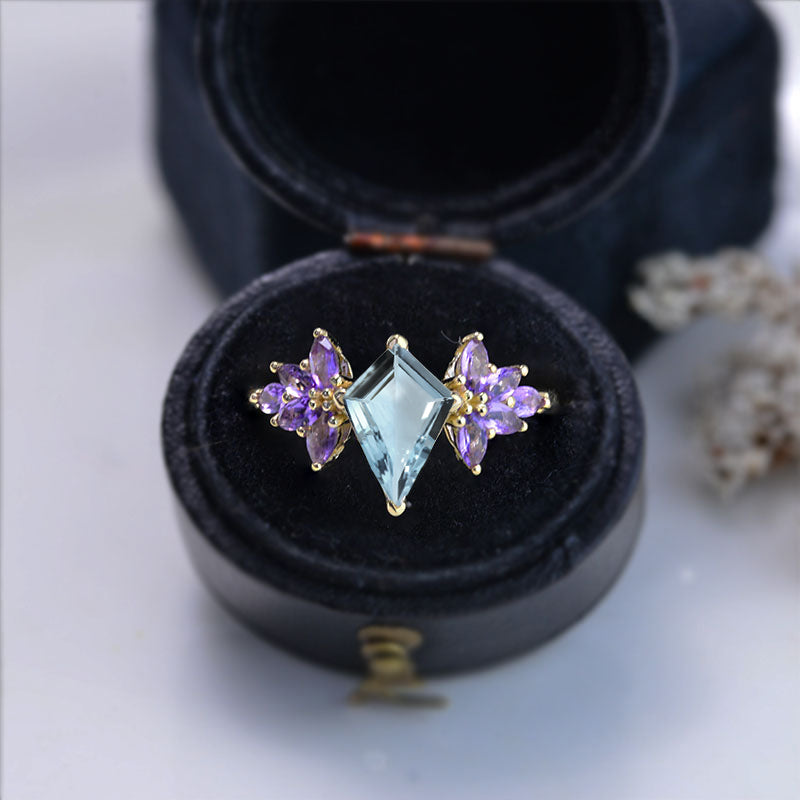 clio-https://clio.giliarto.com/ring/1/742