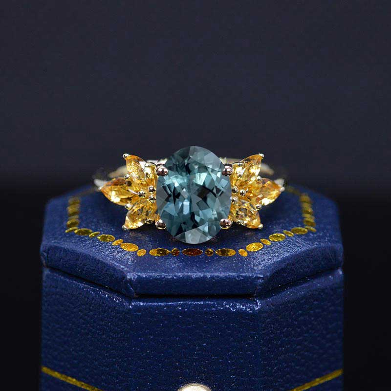 clio-https://clio.giliarto.com/ring/1/555