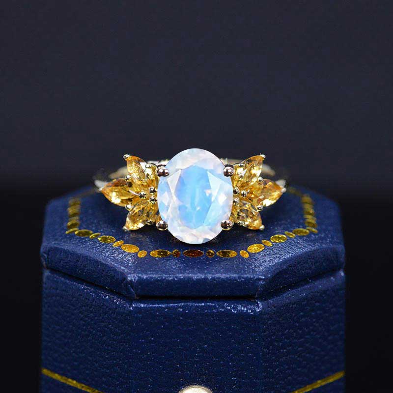 clio-https://clio.giliarto.com/ring/1/555