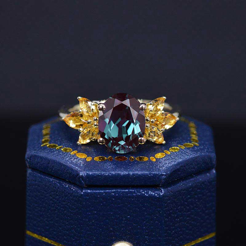 clio-https://clio.giliarto.com/ring/1/555