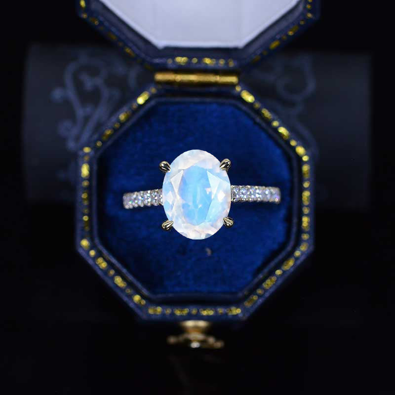 clio-https://clio.giliarto.com/ring/1/704