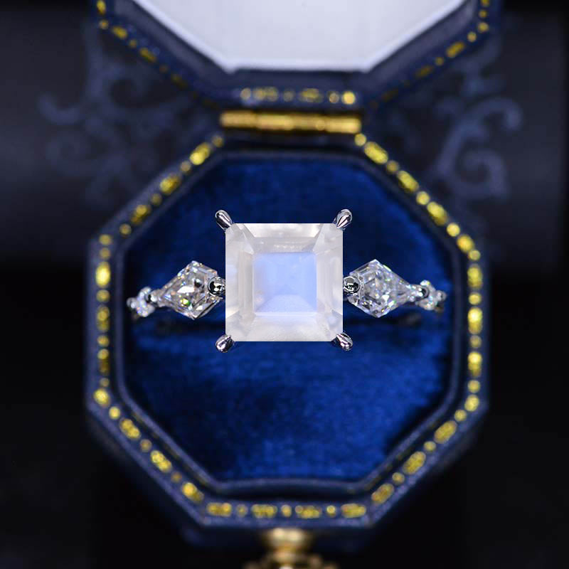 clio-https://clio.giliarto.com/ring/1/873