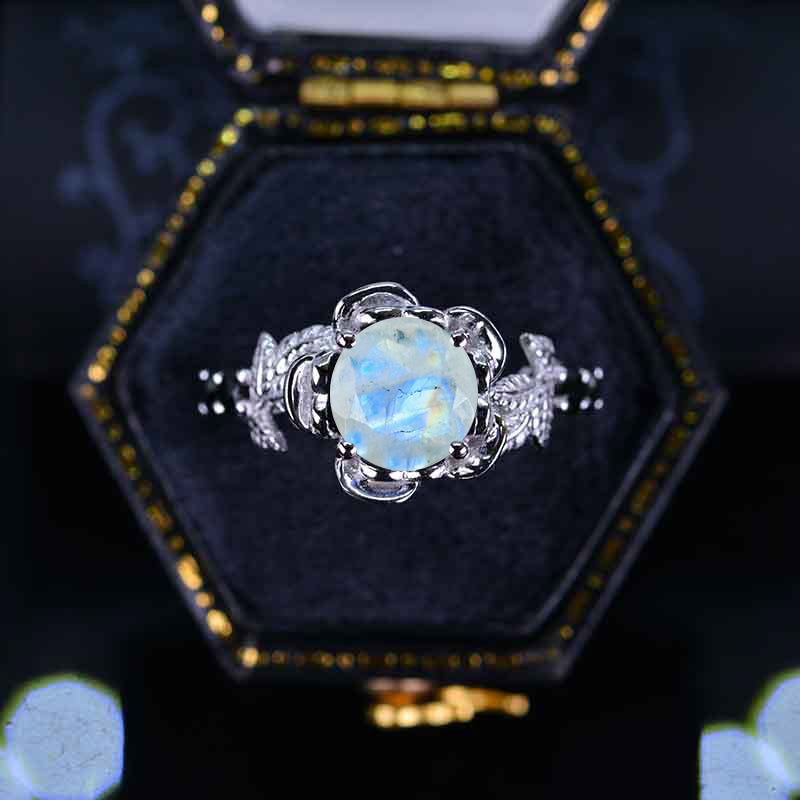 clio-https://clio.giliarto.com/ring/1/985