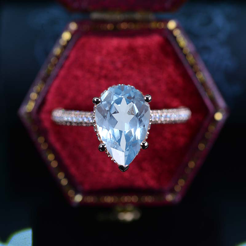 clio-https://clio.giliarto.com/ring/1/594