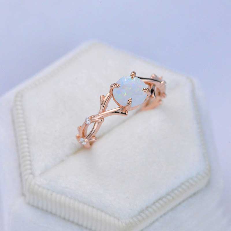 clio-https://clio.giliarto.com/ring/1/563