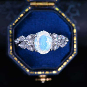 clio-https://clio.giliarto.com/ring/1/817
