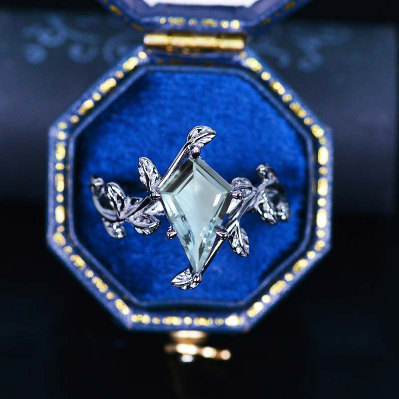 clio-https://clio.giliarto.com/ring/1/788
