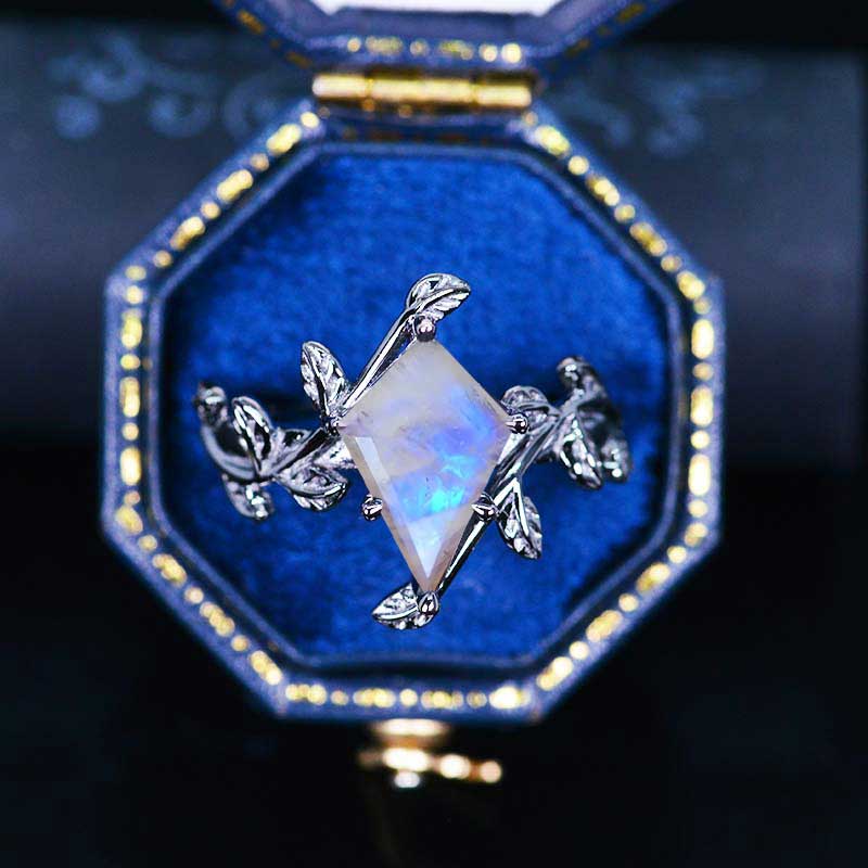 clio-https://clio.giliarto.com/ring/1/788