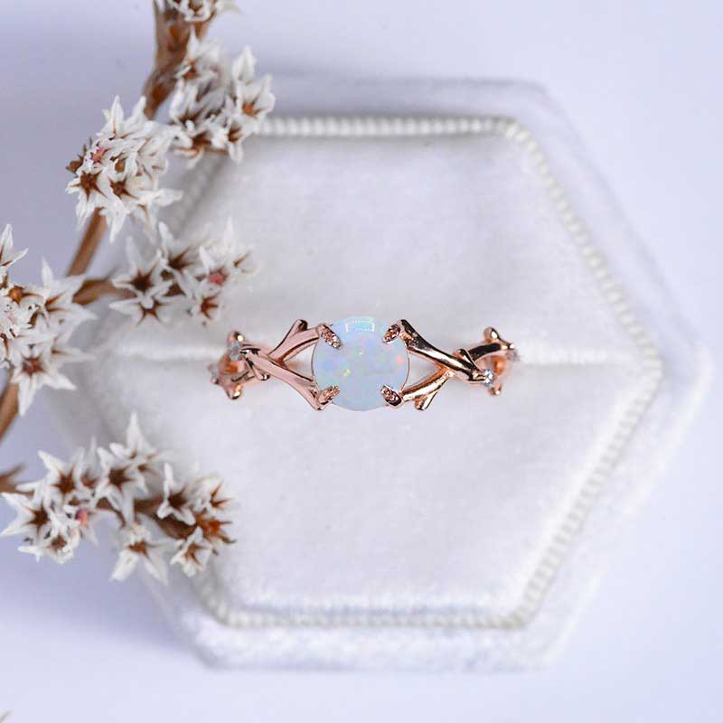 clio-https://clio.giliarto.com/ring/1/563