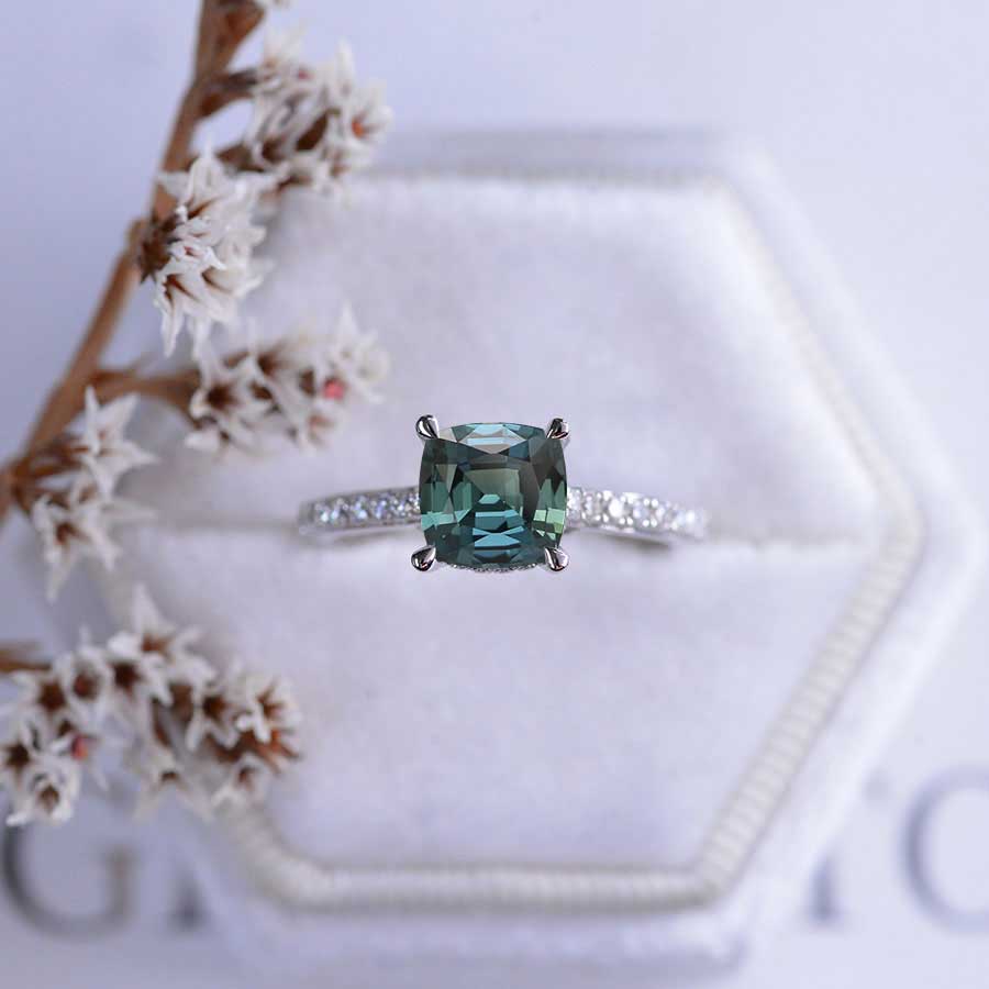 clio-https://clio.giliarto.com/ring/1/499