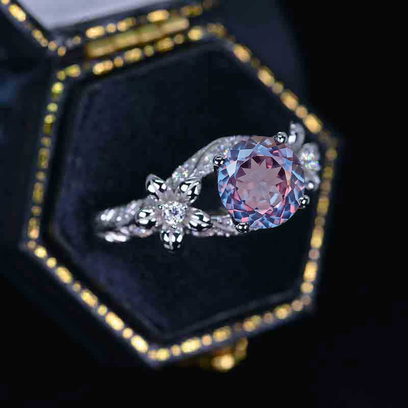 clio-https://clio.giliarto.com/ring/1/5
