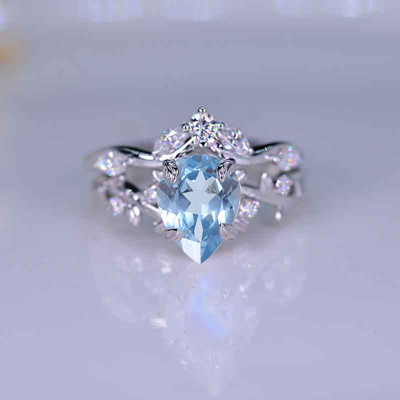 clio-https://clio.giliarto.com/ring/1/871