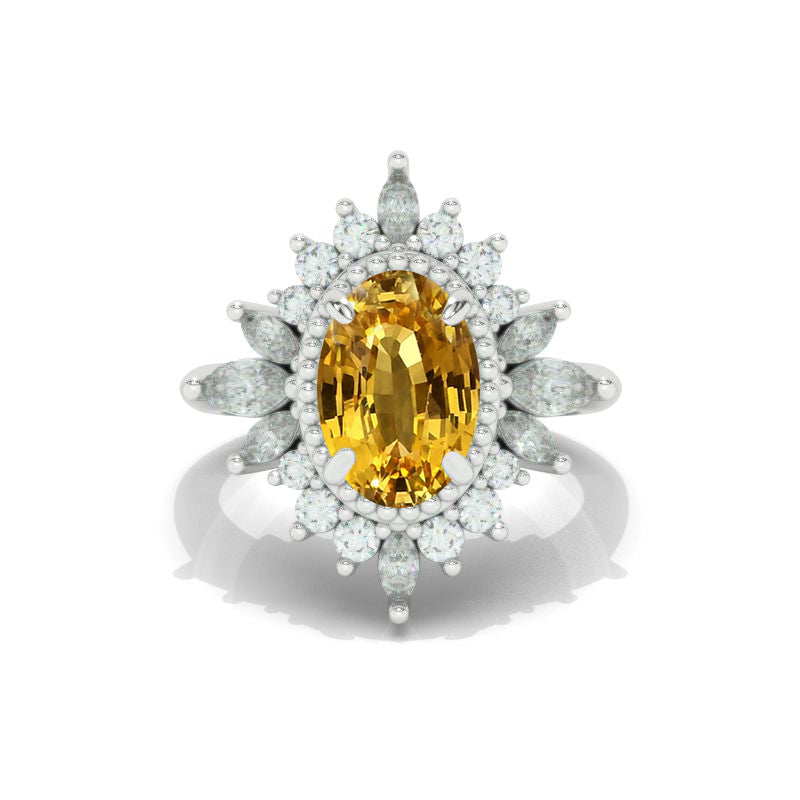clio-https://clio.giliarto.com/ring/1/1244
