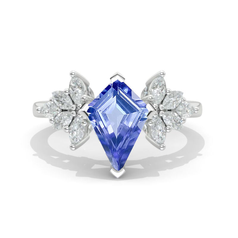 clio-https://clio.giliarto.com/ring/1/742
