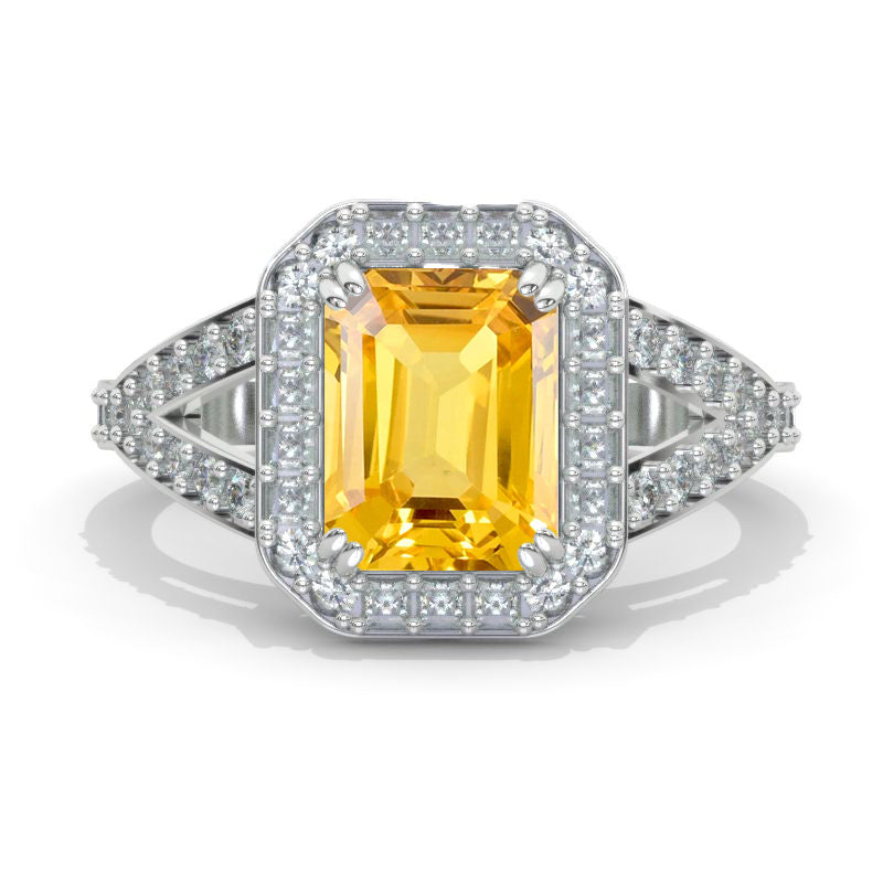 clio-https://clio.giliarto.com/ring/1/1338
