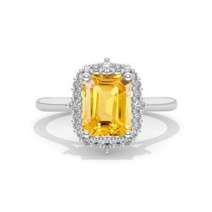 clio-https://clio.giliarto.com/ring/1/1242
