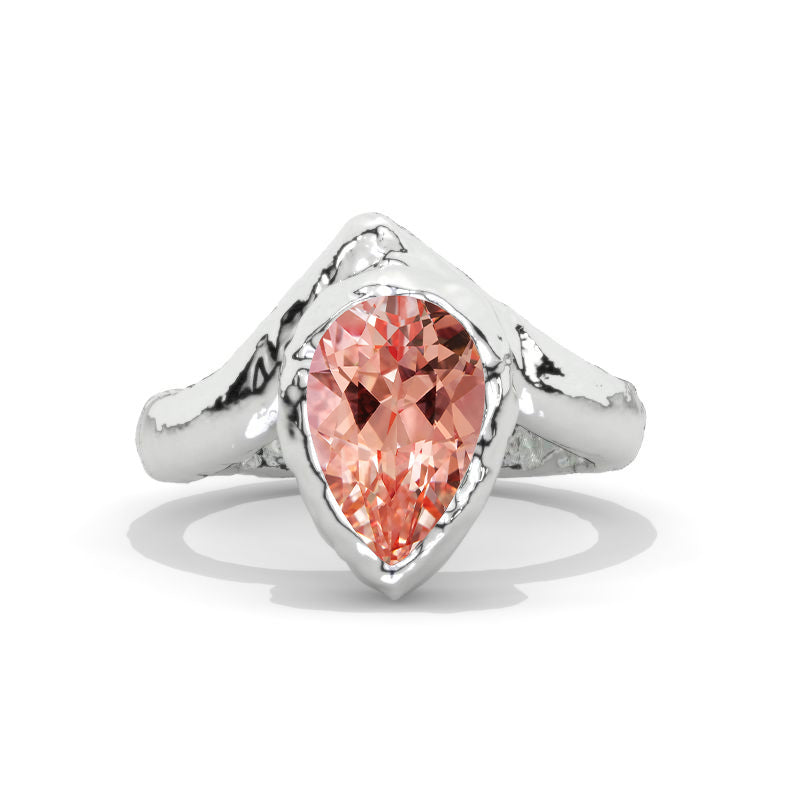 clio-https://clio.giliarto.com/ring/1/1278
