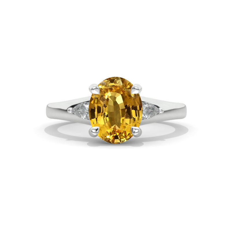 clio-https://clio.giliarto.com/ring/1/1010
