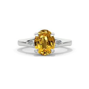 clio-https://clio.giliarto.com/ring/1/513_SQ8mm
