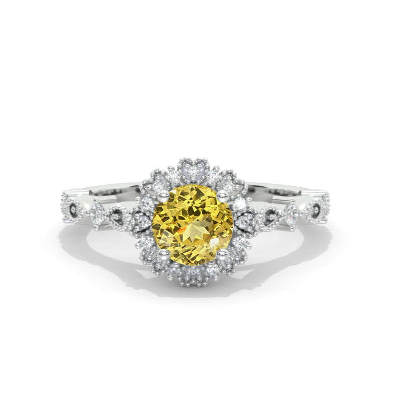 clio-https://clio.giliarto.com/ring/1/517
