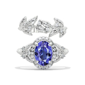 clio-https://clio.giliarto.com/ring/1/972
