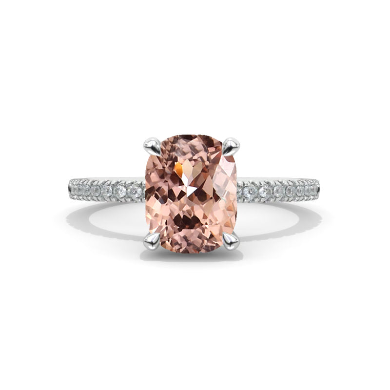 clio-https://clio.giliarto.com/ring/1/527
