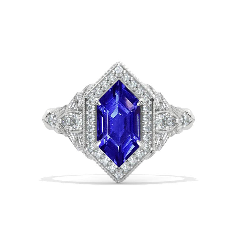 Clio-https://clio.giliarto.com/ring/1/1162