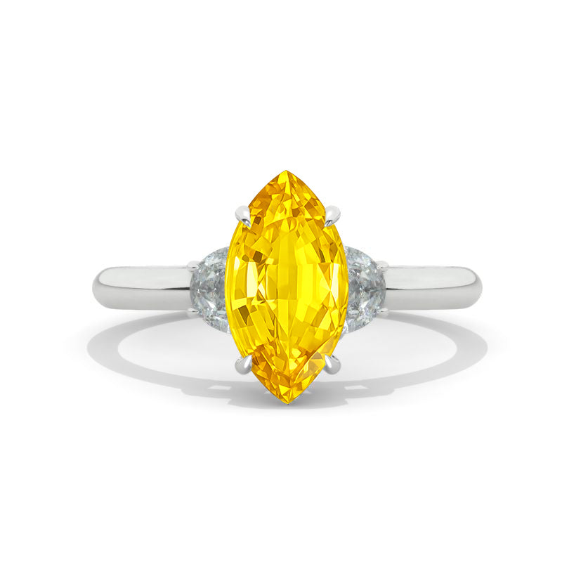 clio-https://clio.giliarto.com/ring/1/1178
