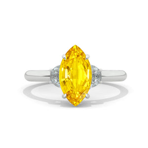 clio-https://clio.giliarto.com/ring/1/1170
