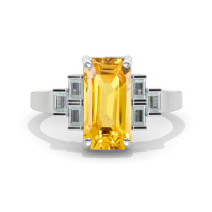 clio-https://clio.giliarto.com/ring/1/1170
