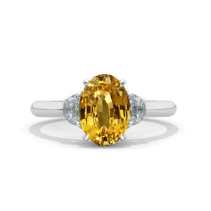 clio-https://clio.giliarto.com/ring/1/1170
