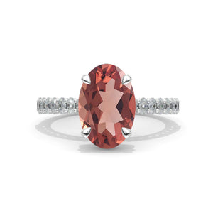 clio-https://clio.giliarto.com/ring/1/739
